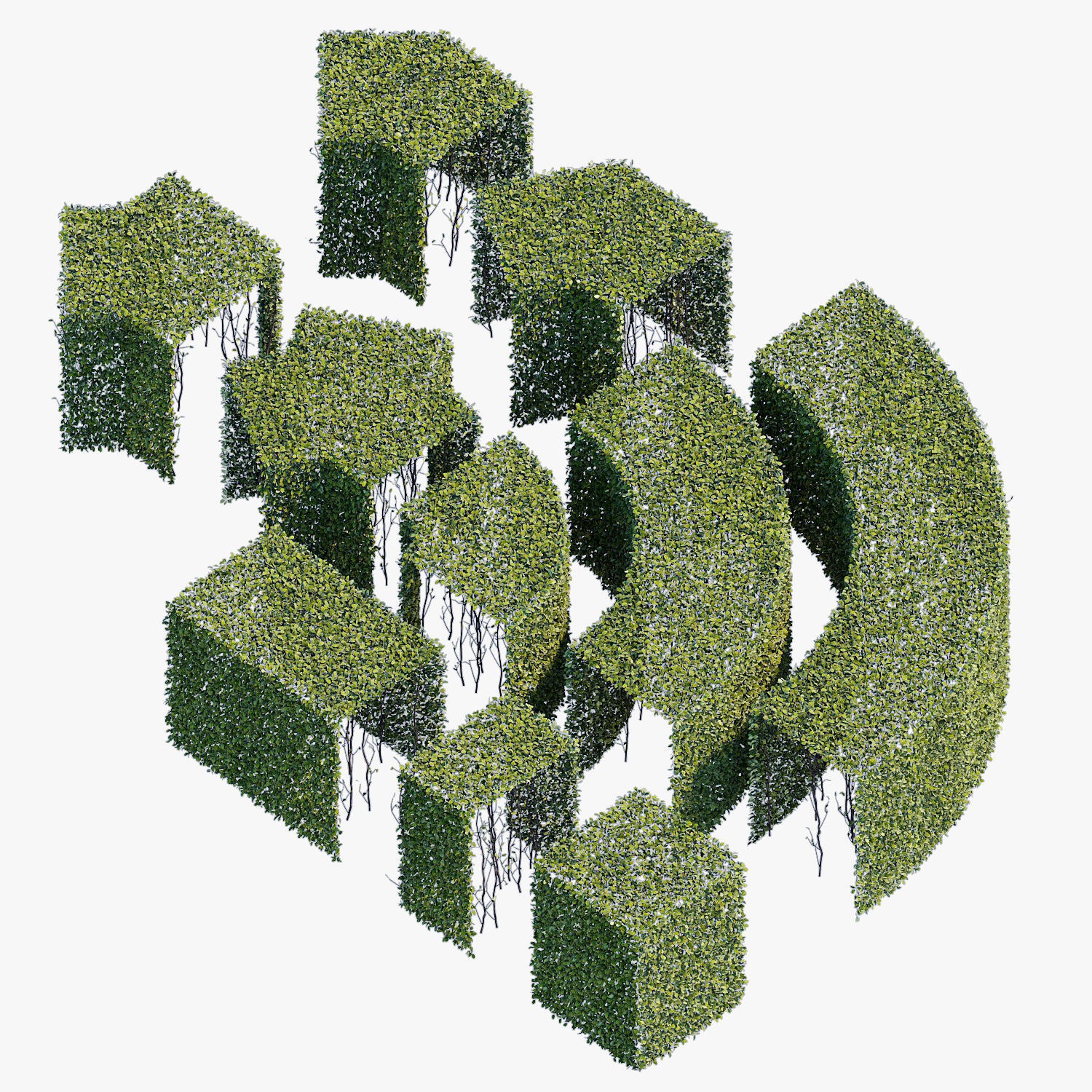 hedge collection four hedges 3D model_6