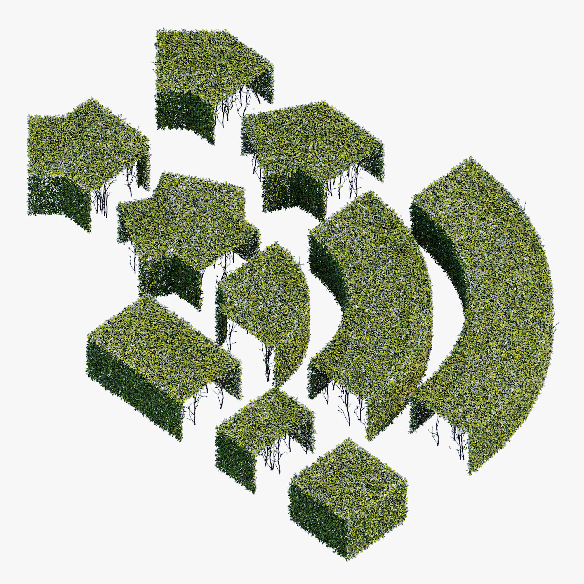 hedge collection four hedges 3D model_4