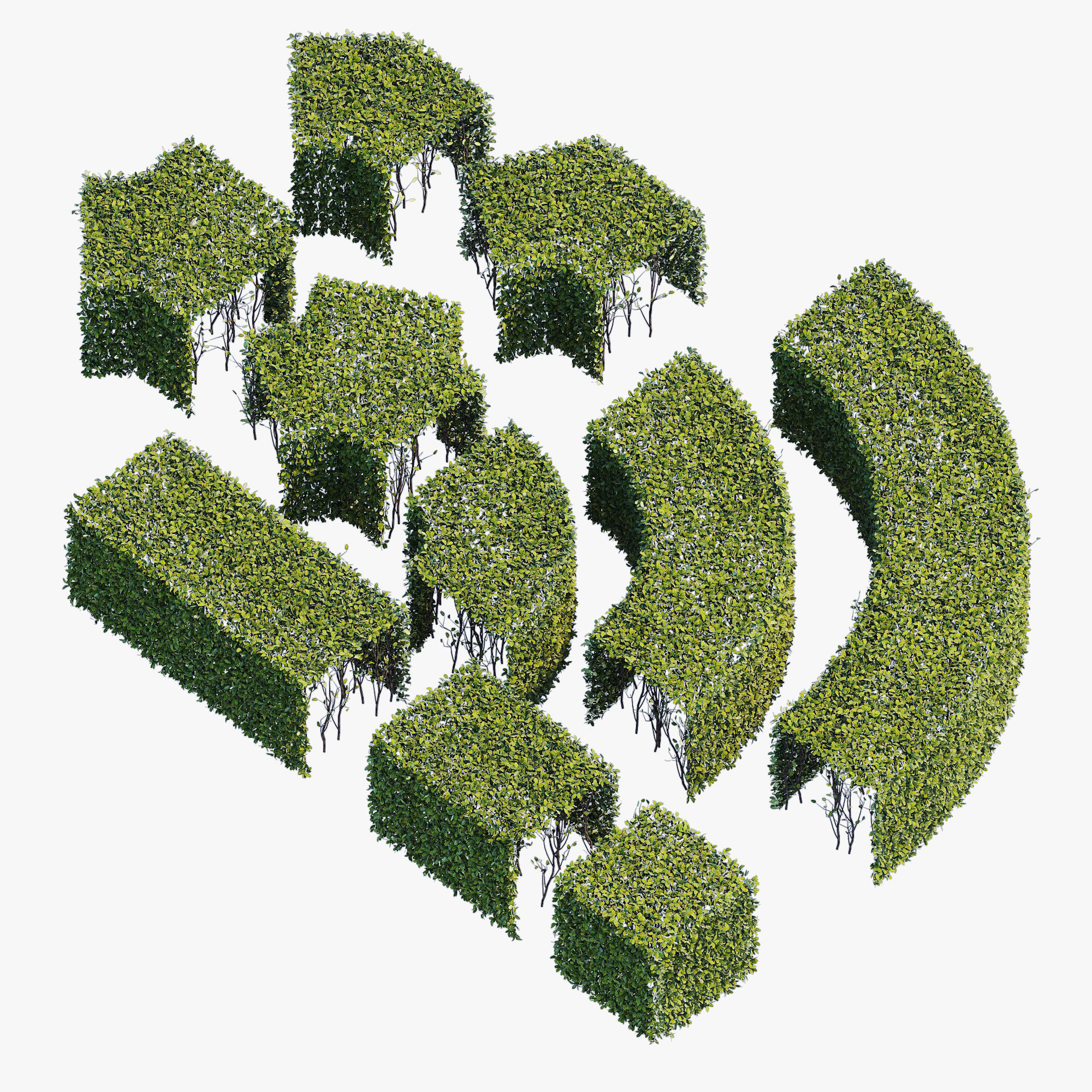 hedge collection four hedges 3D model_1
