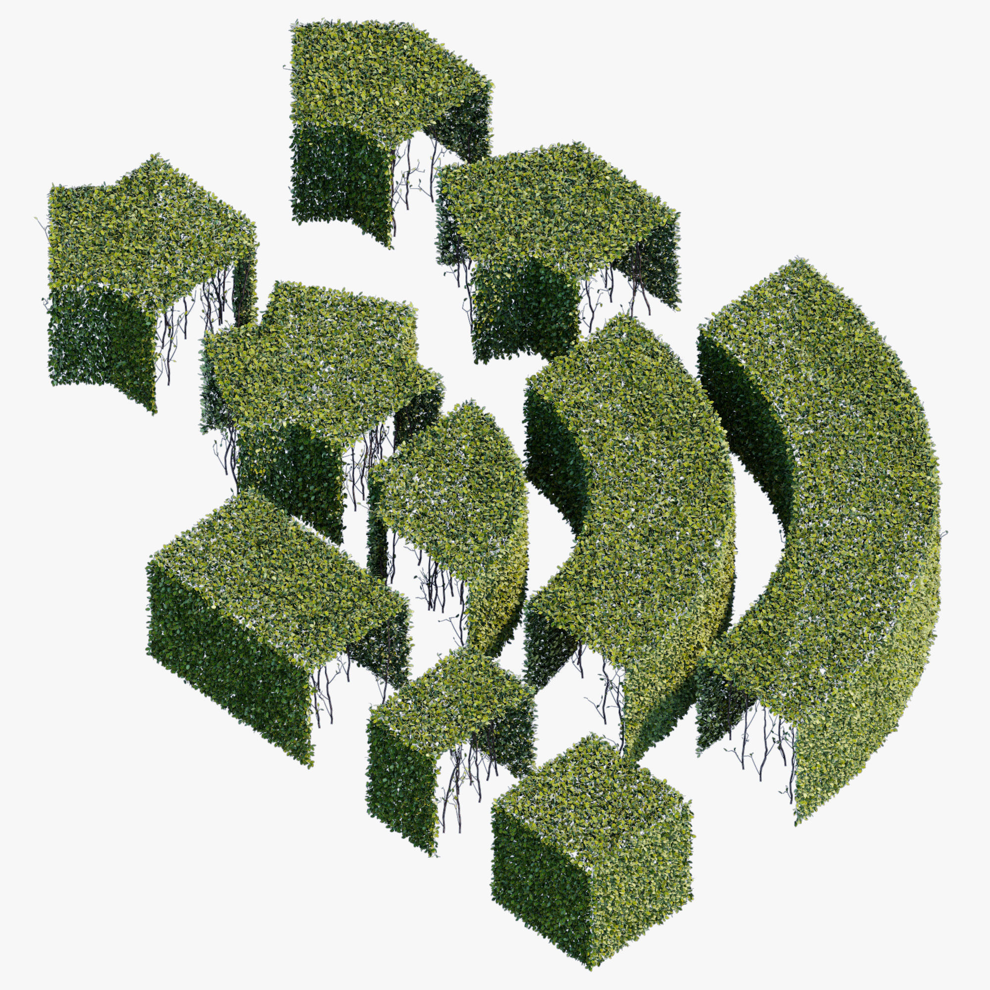 hedge collection four hedges 3D model_5