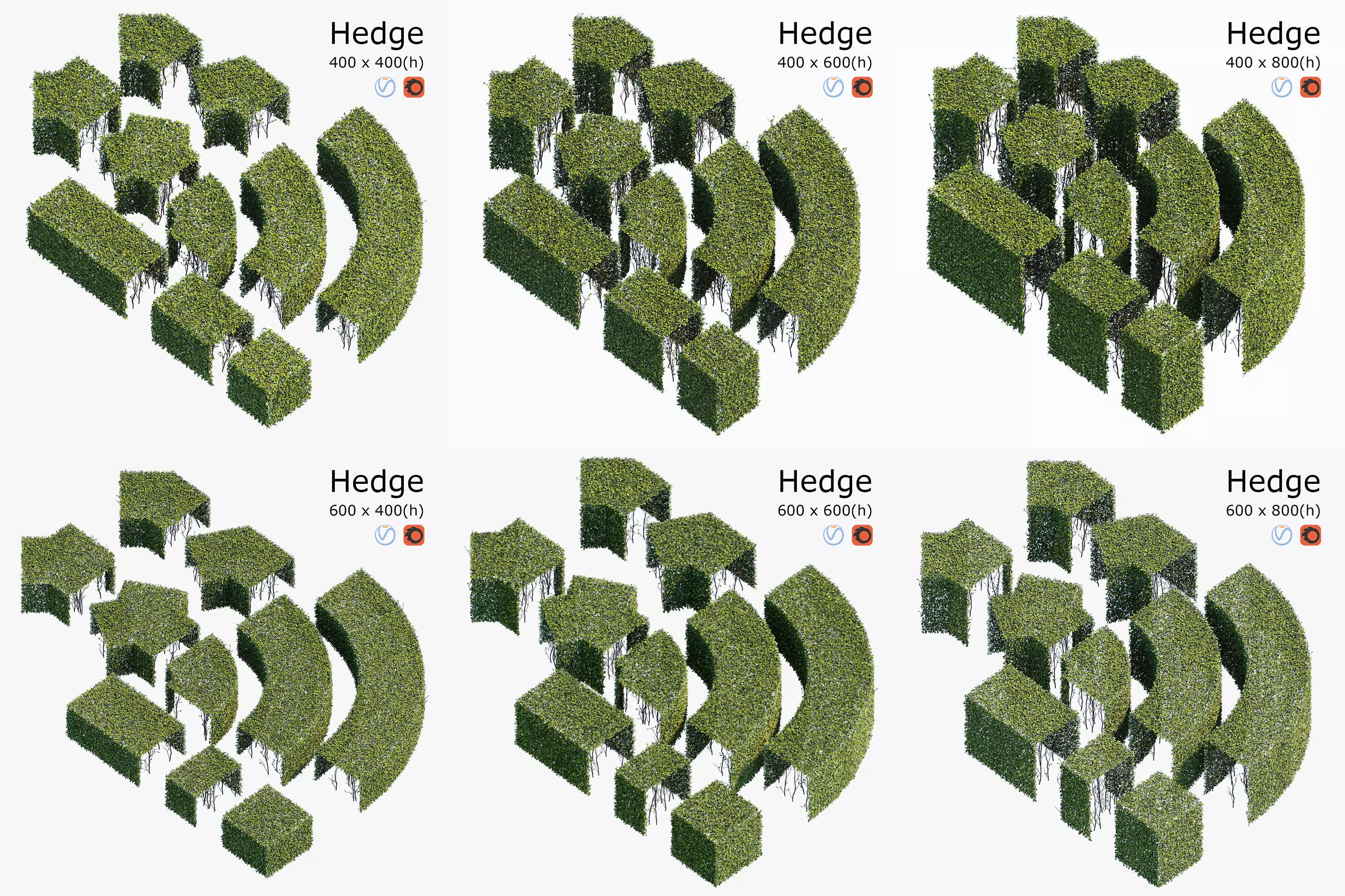 hedge collection four hedges 3D model_0