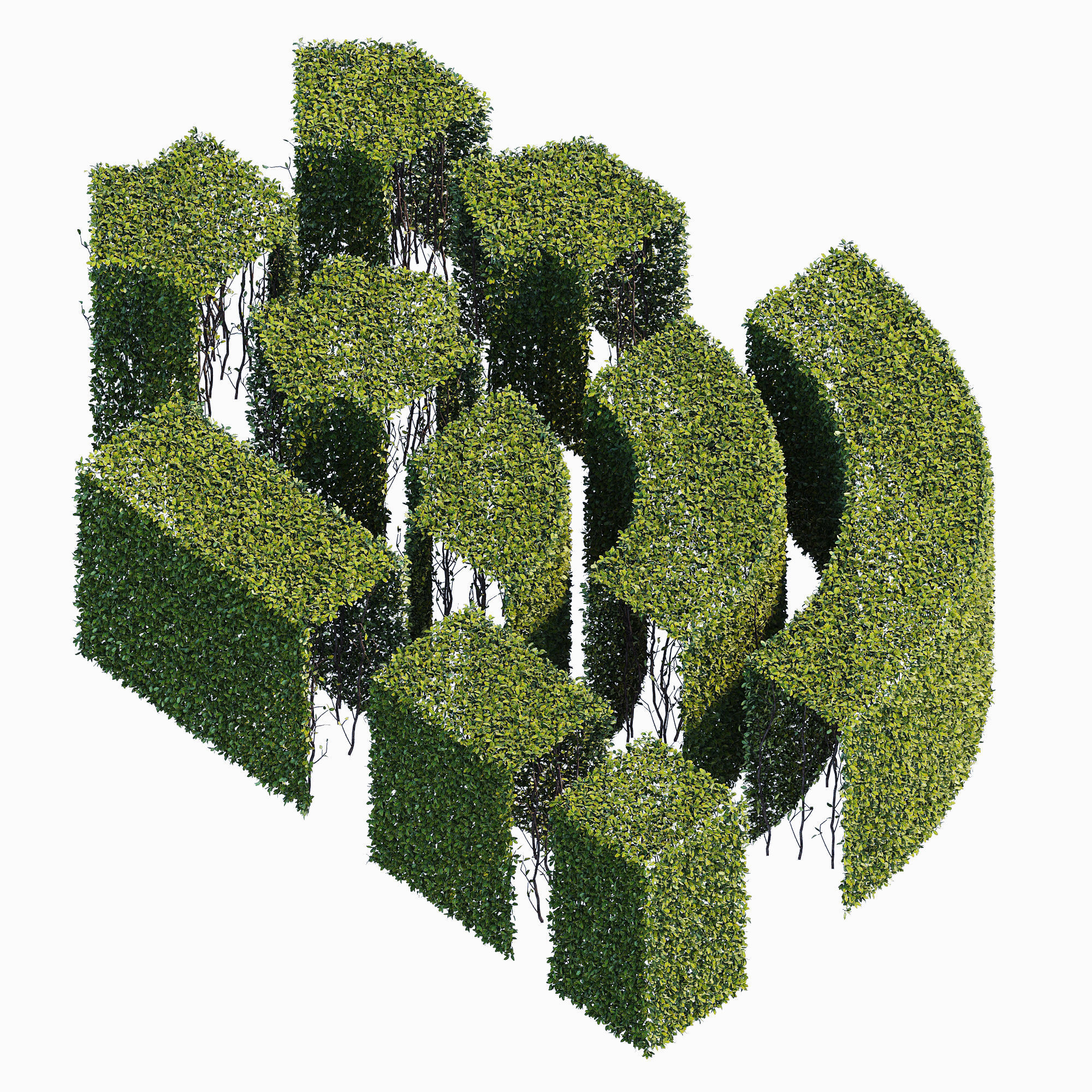hedge collection four hedges 3D model_3