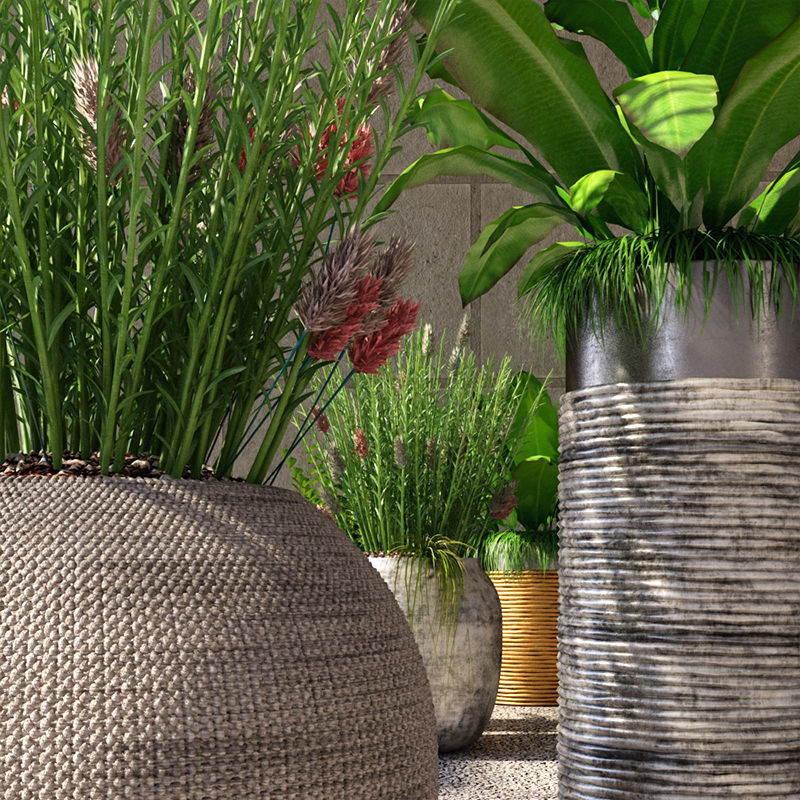 Collection - Set of Plant 3D model_5