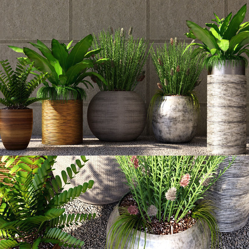 Collection - Set of Plant 3D model_3