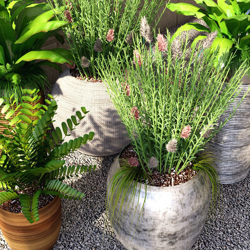 Collection - Set of Plant 3D model_4