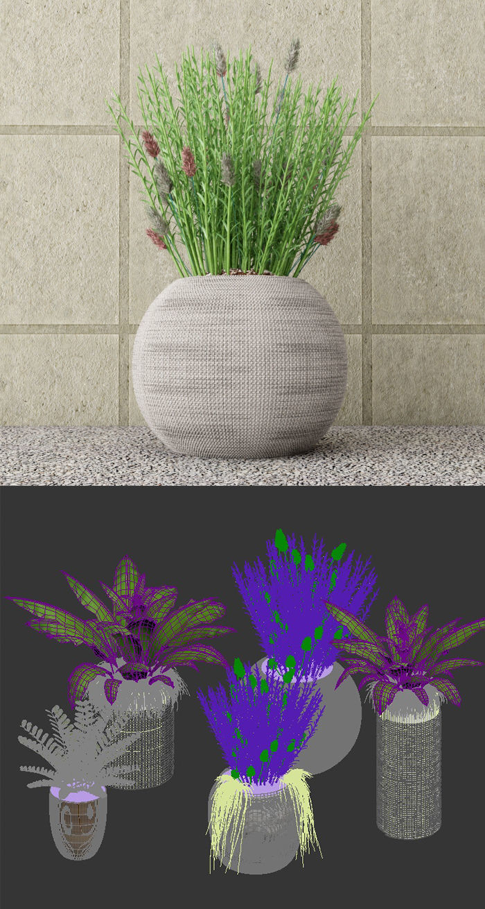 Collection - Set of Plant 3D model_2