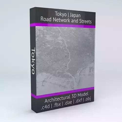 Tokyo Road Network and Streets 3D model