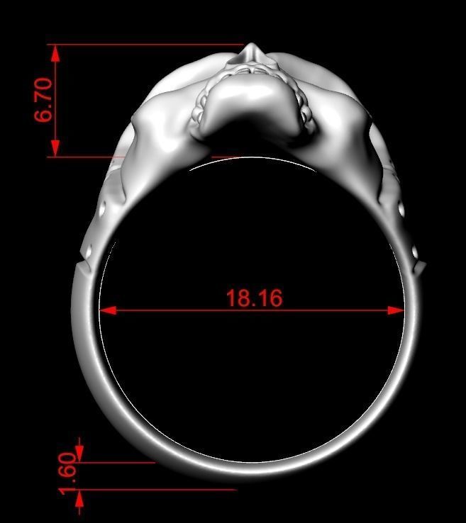 Ring with a skull of the pilot 125 3D print model_10