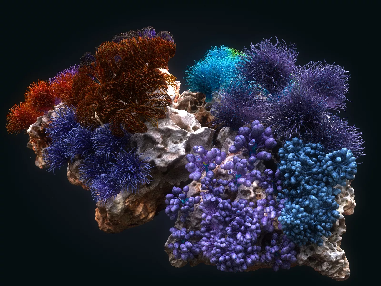Coral reef ecosystem Animated Low-poly 3D model