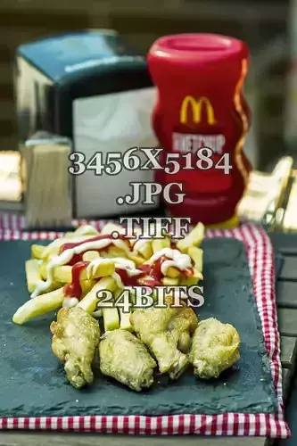 Chiken Wings with Fries 1B Stock Photography 3D model