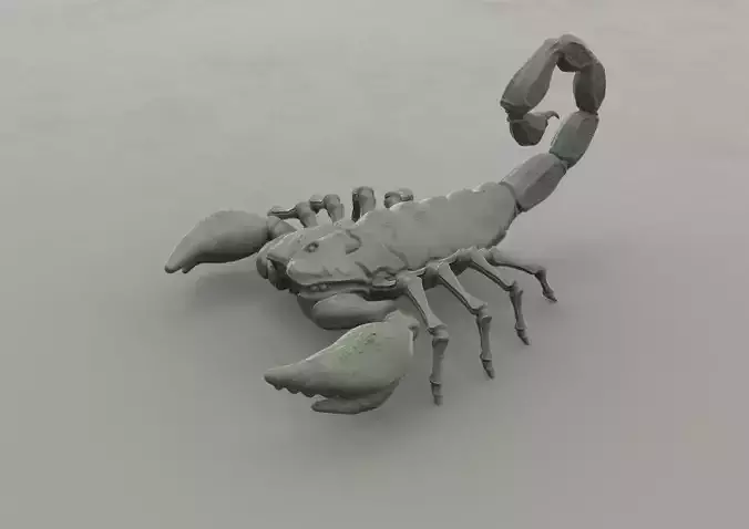 Scorpion