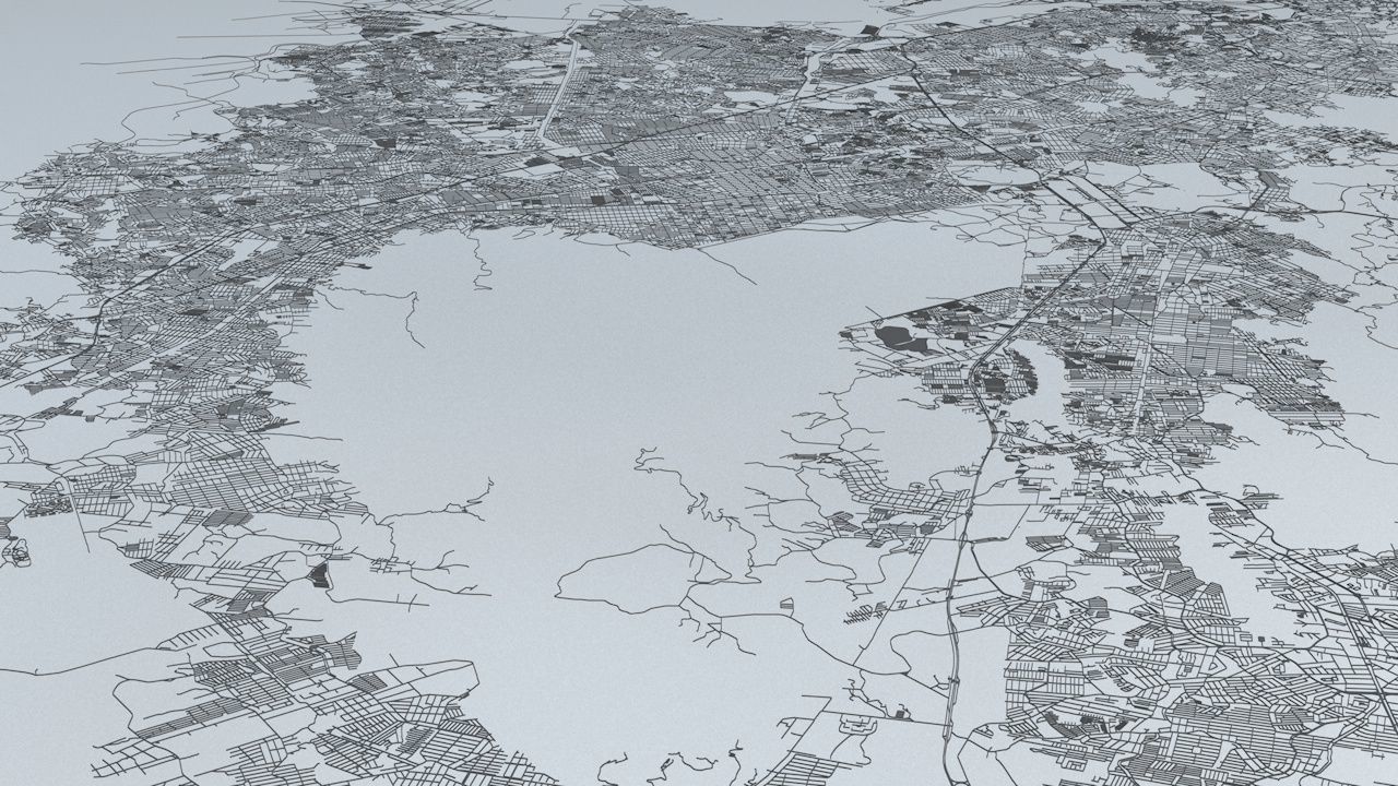 Rio De Janeiro Road Network and Streets 3D model_2
