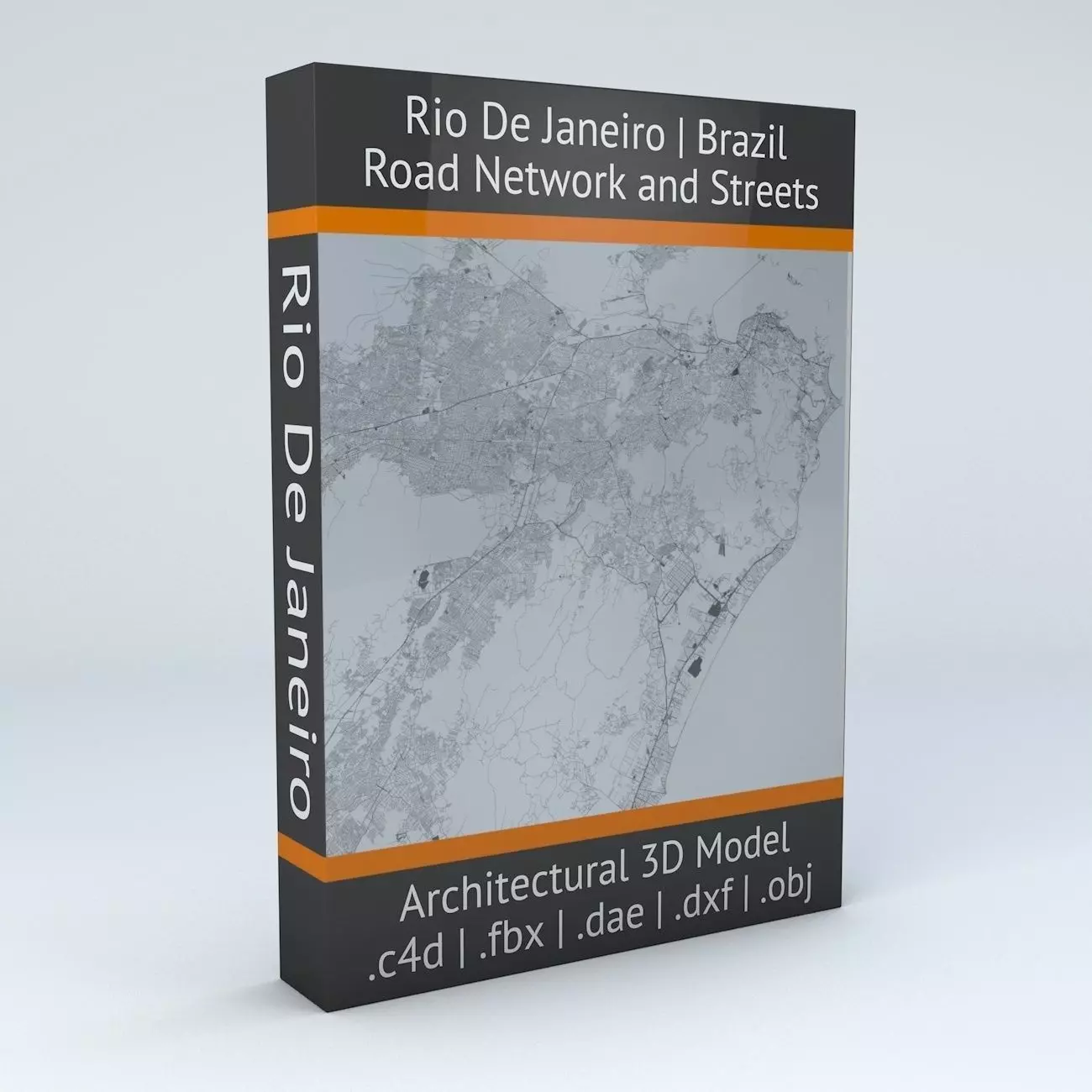 Rio De Janeiro Road Network and Streets 3D model_0
