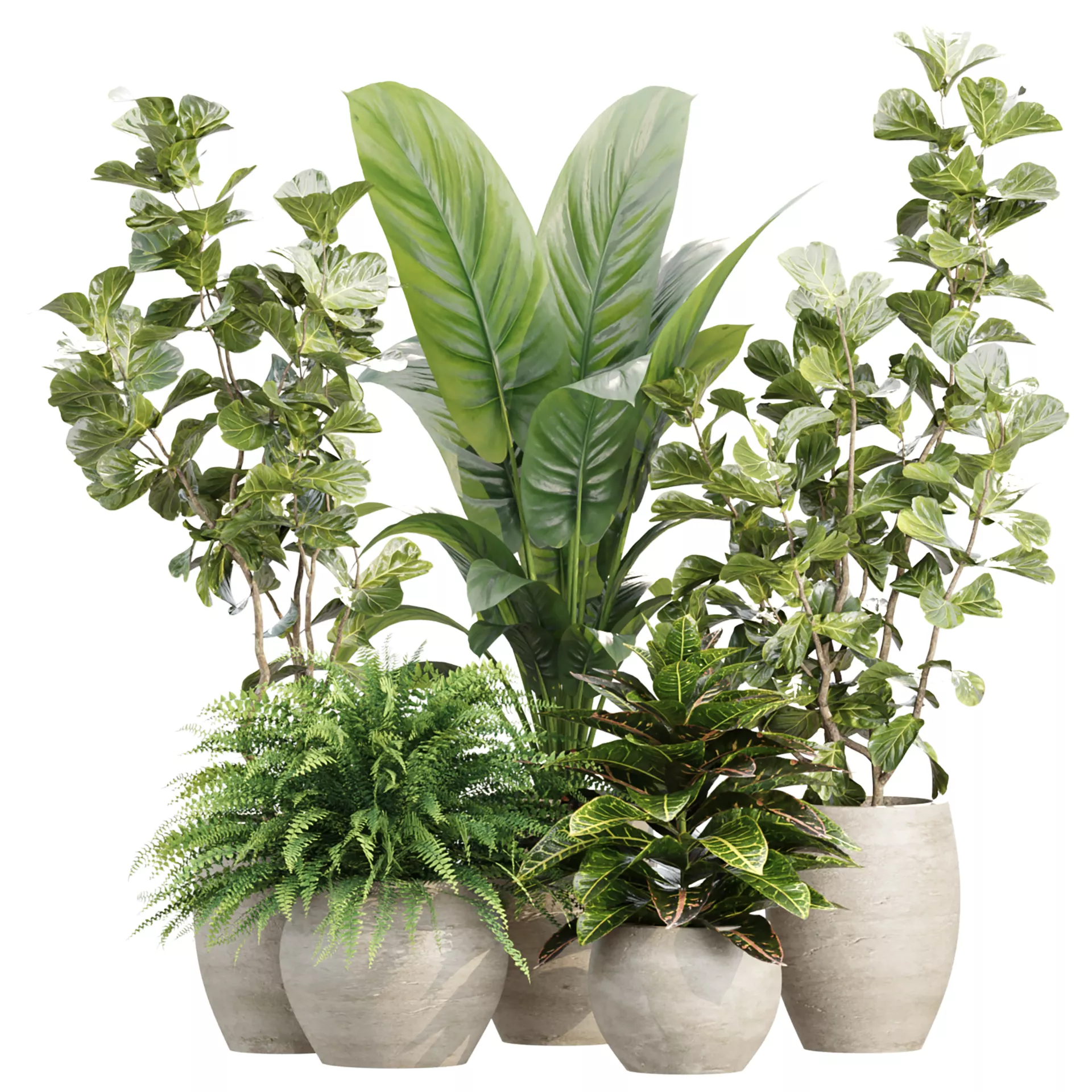 Indoor Pot Plants Collection 546 3D model
