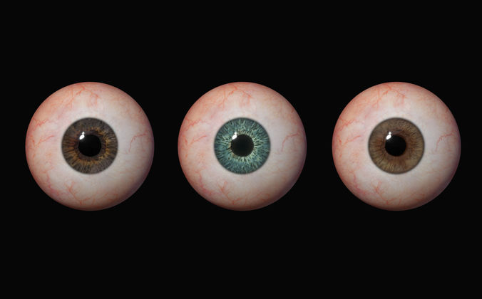 3d maya base model eye  Low-poly 3D model