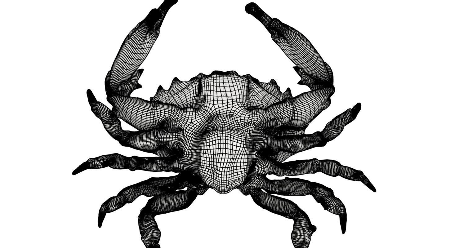 Base crab Low-poly 3D model_2