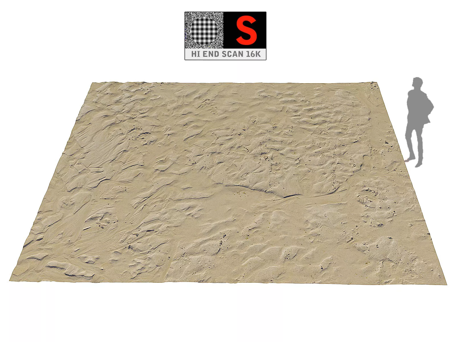 Wet Beach Ground 16K Low-poly 3D model