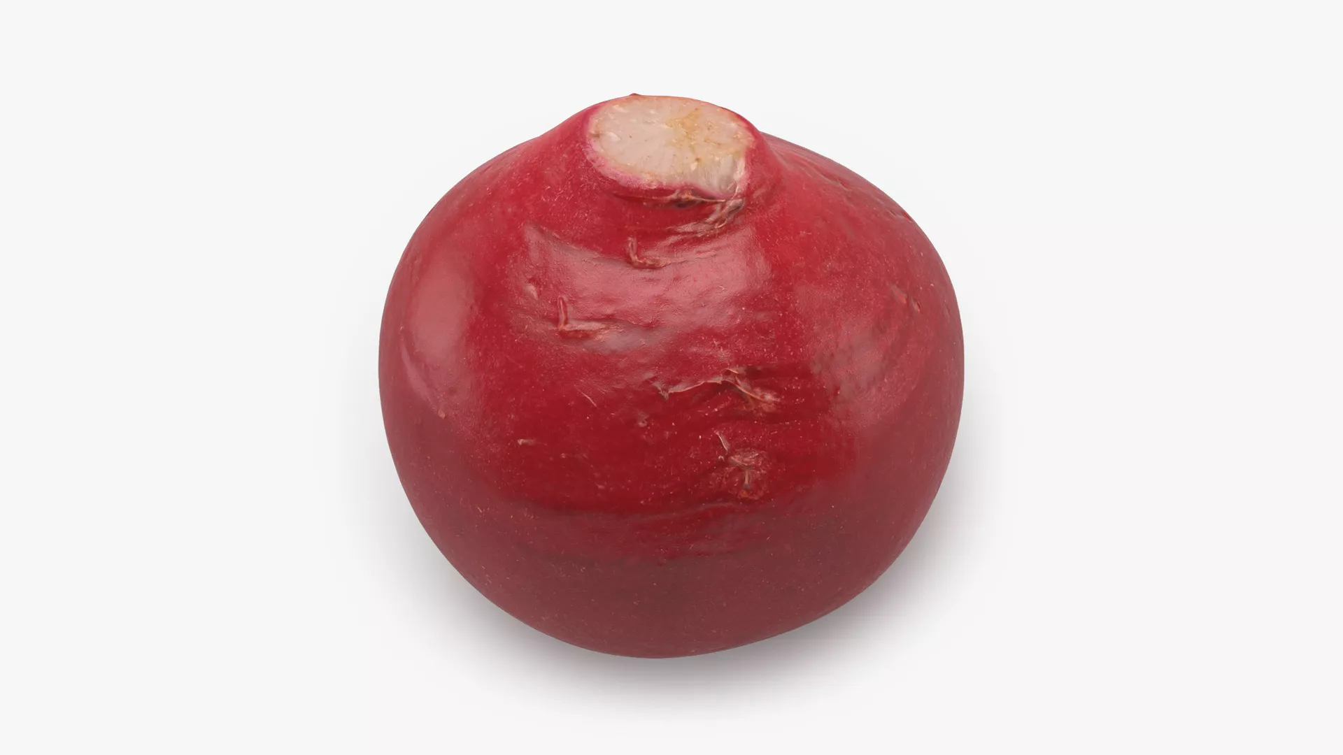Baby Radish Low-poly 3D model
