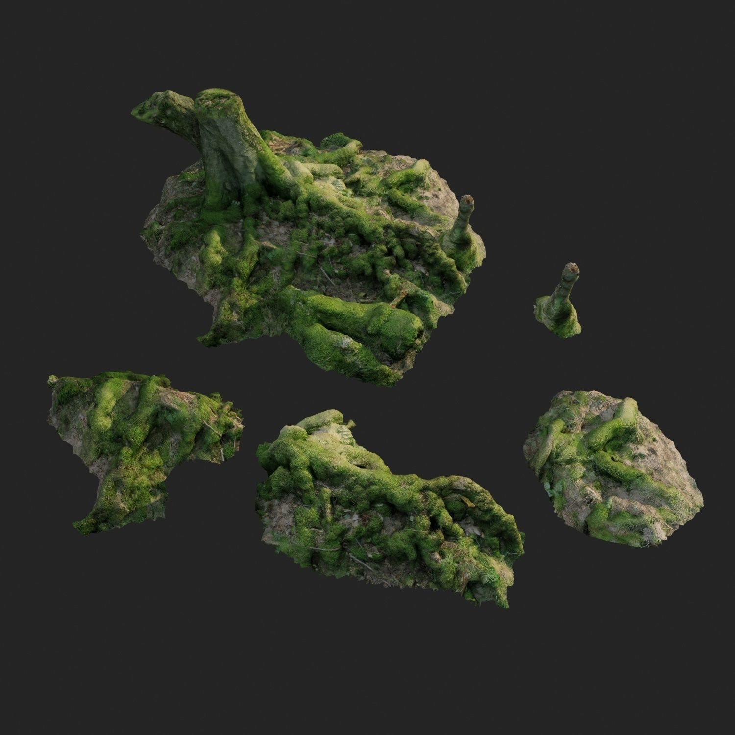 3d scanned nature forest roots 005 3D model_1