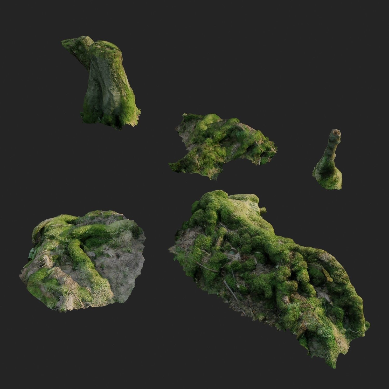 3d scanned nature forest roots 005 3D model_2