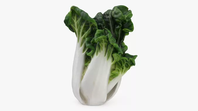 White Bok Choy 01