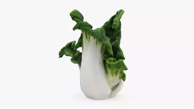 White Bok Choy 02