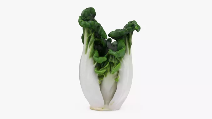 White Bok Choy 03
