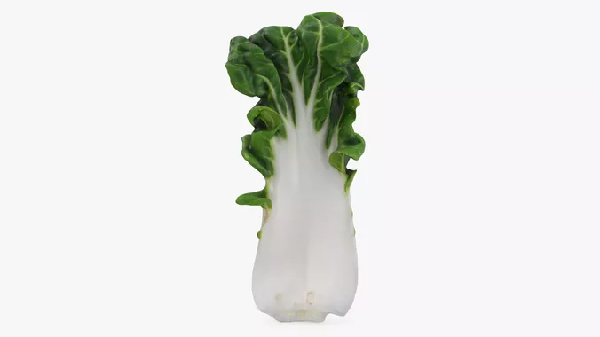 White Bok Choy Leaf 01