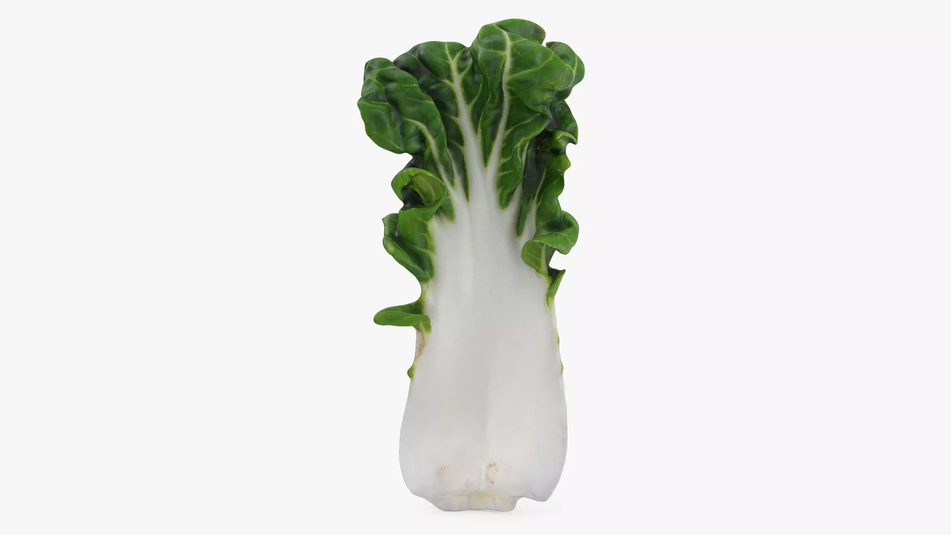White Bok Choy Leaf 01 Low-poly 3D model