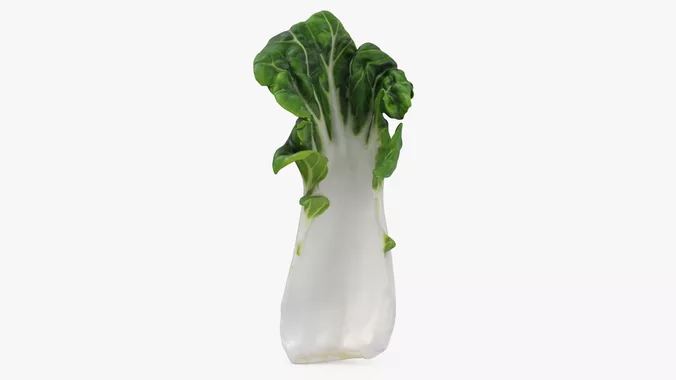 White Bok Choy Leaf 02