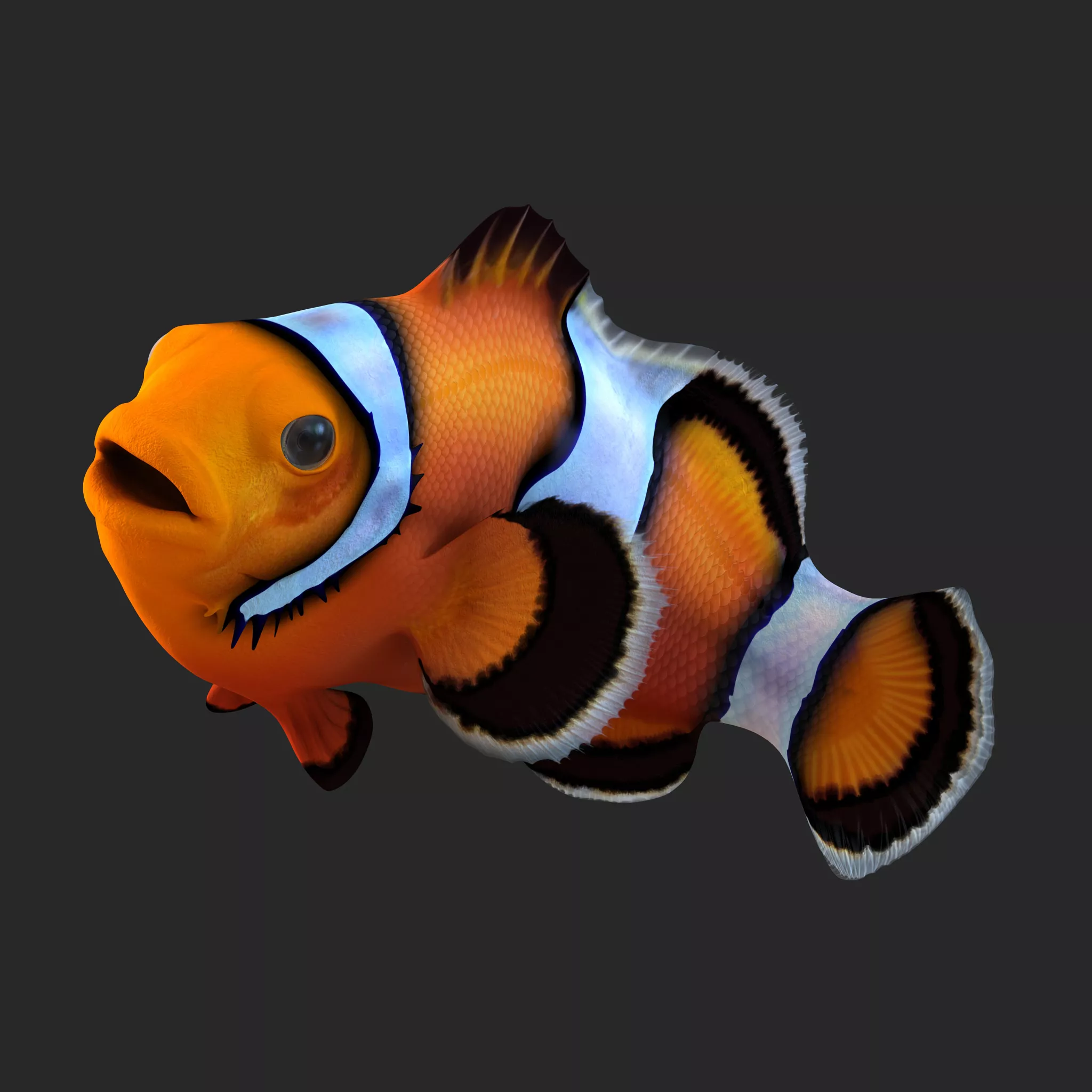 Clownfish Rigged 3D model