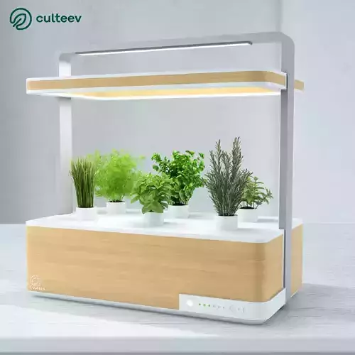 Culteev Basile 3D model