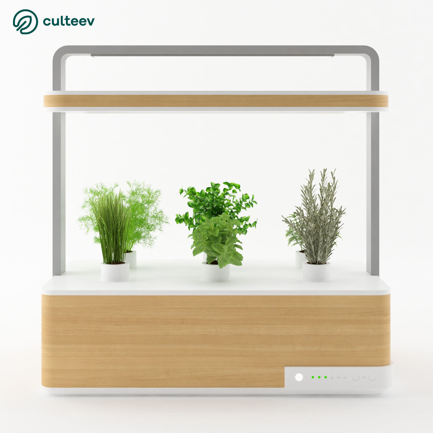 Culteev Basile 3D model_1