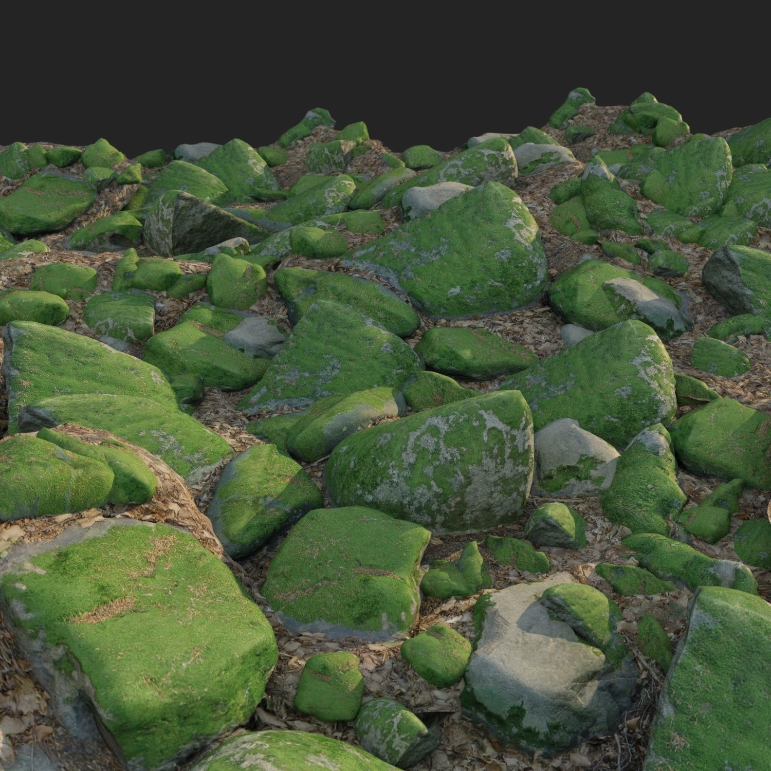 nature stone 007 3D model_2
