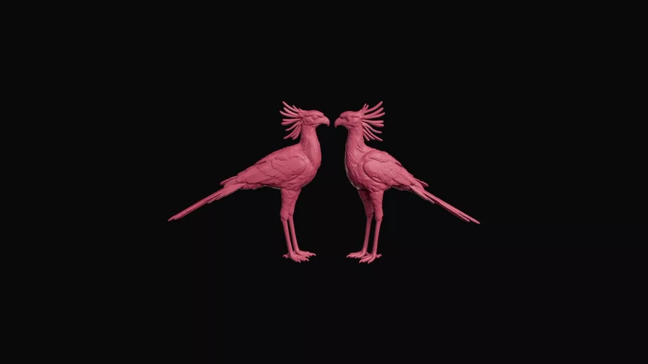Standing Crested Secretary Bird Pair Figurine 3D print model
