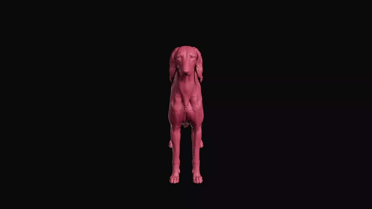 Graceful Saluki Sighthound Dog Figurine 3D print model