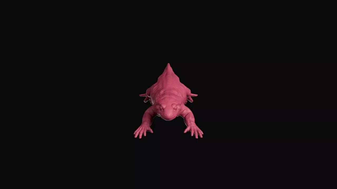 Swimming Giant Salamander Amphibian Figurine 3D print model