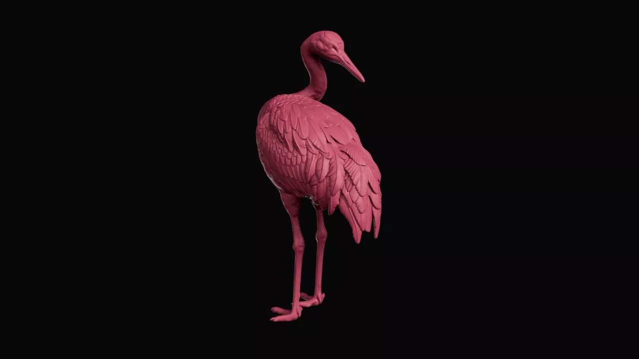 Graceful Japanese Manchurian Crane Bird Figurine 3D print model