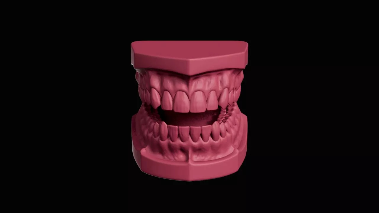 Complete Human Mandibular Dental Arcade Model 3D print model