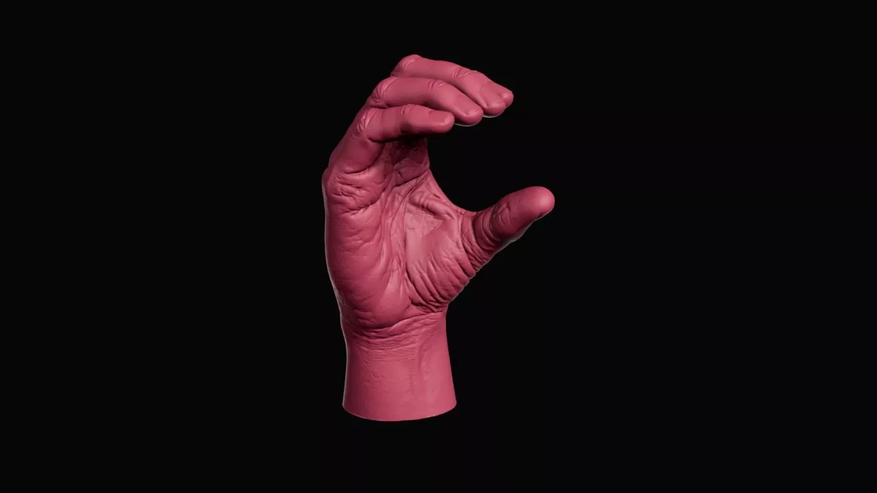 Cupped Human Hand Anatomy Gesture 3D print model