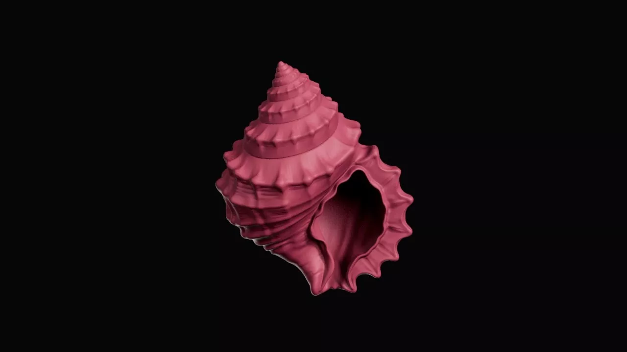 Spiral Triton Marine Seashell Ornament 3D print model