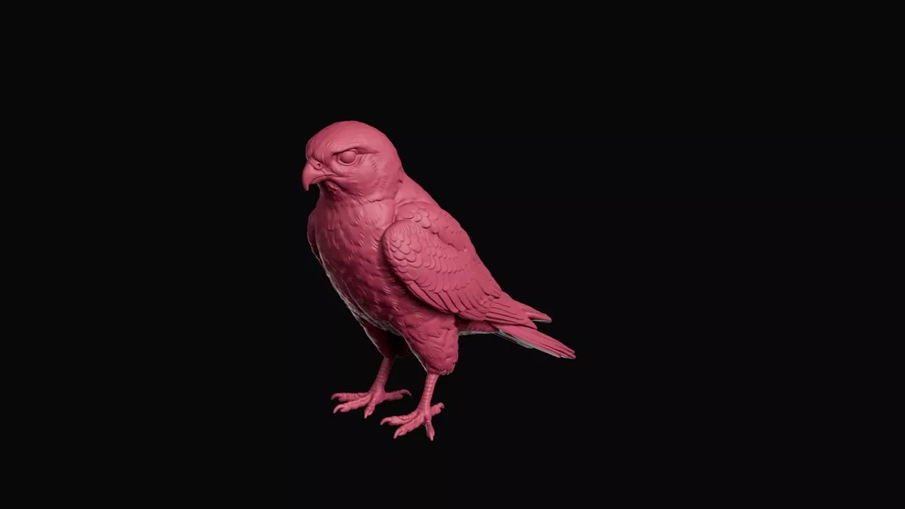 Peregrine Falcon Bird of Prey Statue 3D print model