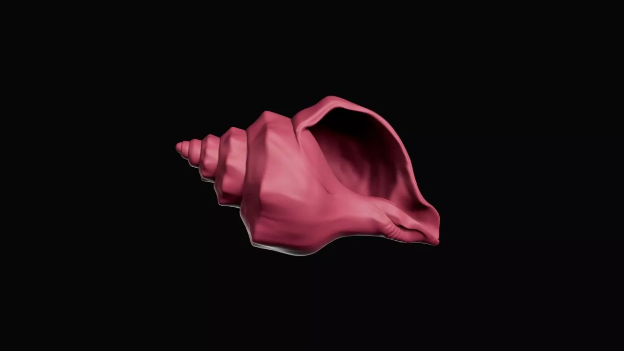 Giant Conch Seashell Decor Sculpture 3D print model
