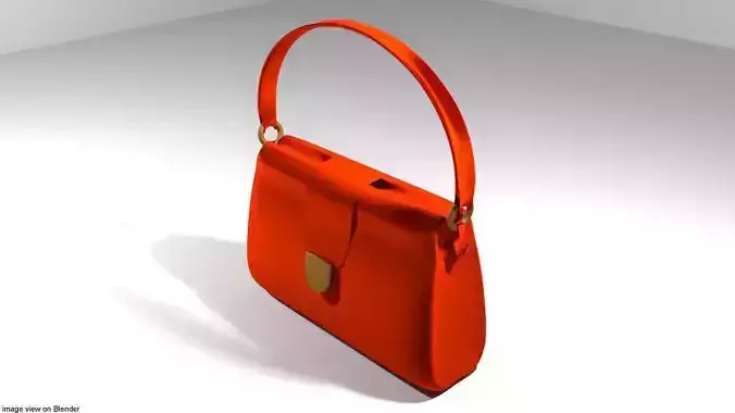 Handbag - Type 1