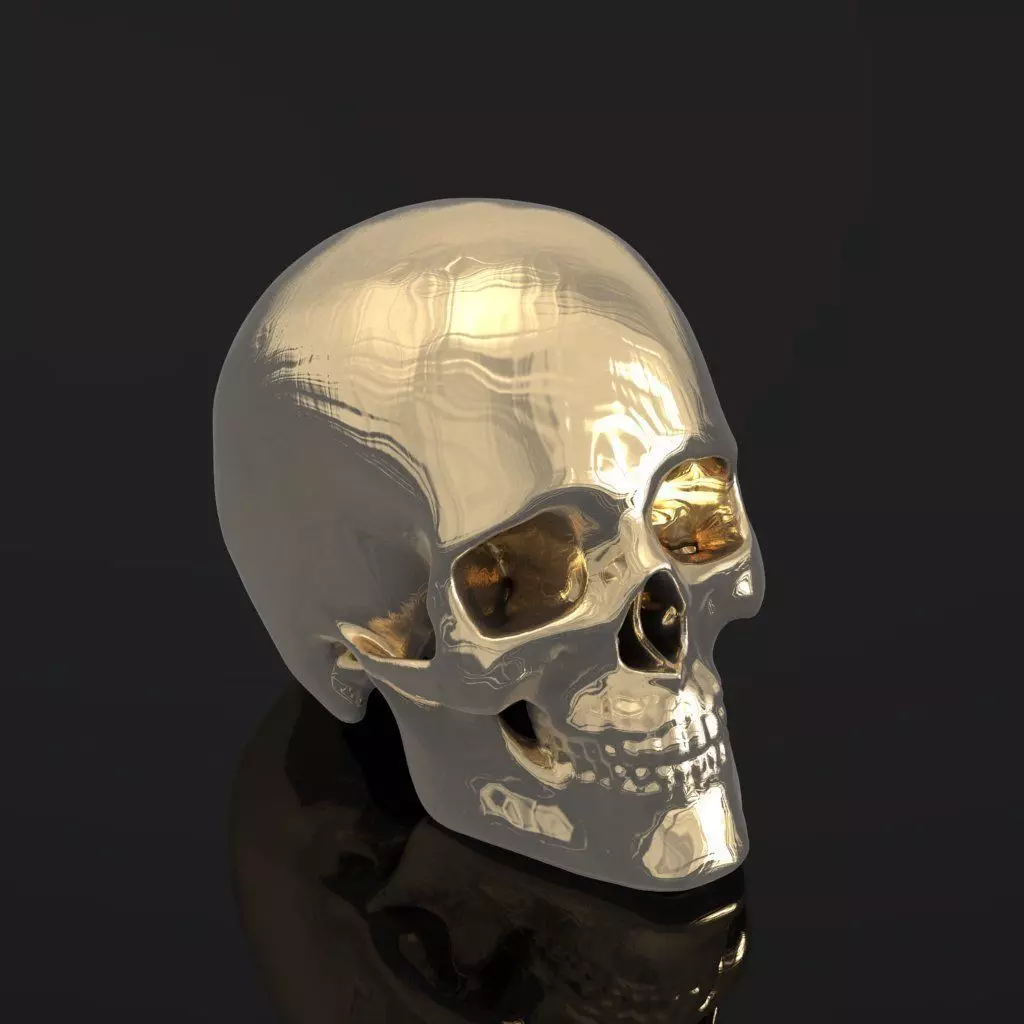 Human skull 047 3D print model