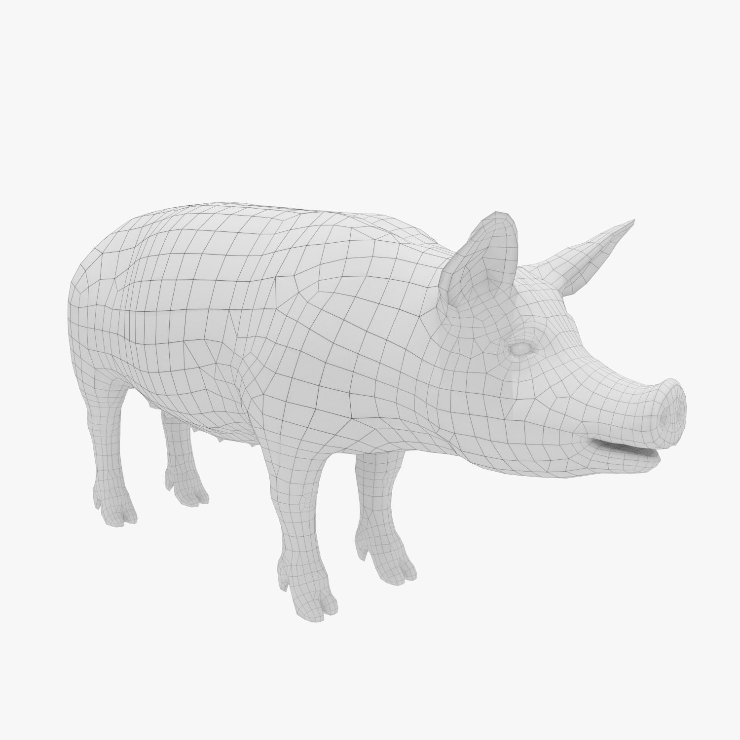 Pig - Realistic Low-poly 3D model_6