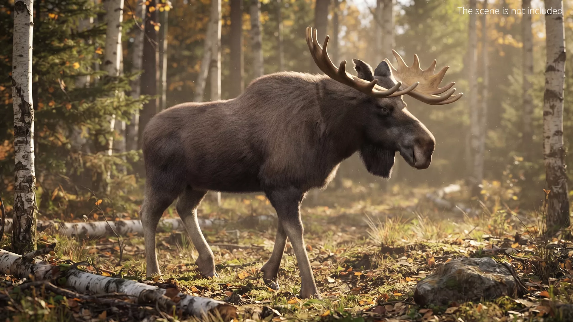 Bull Moose Fur Set Animated Rigged For Maya 3D model