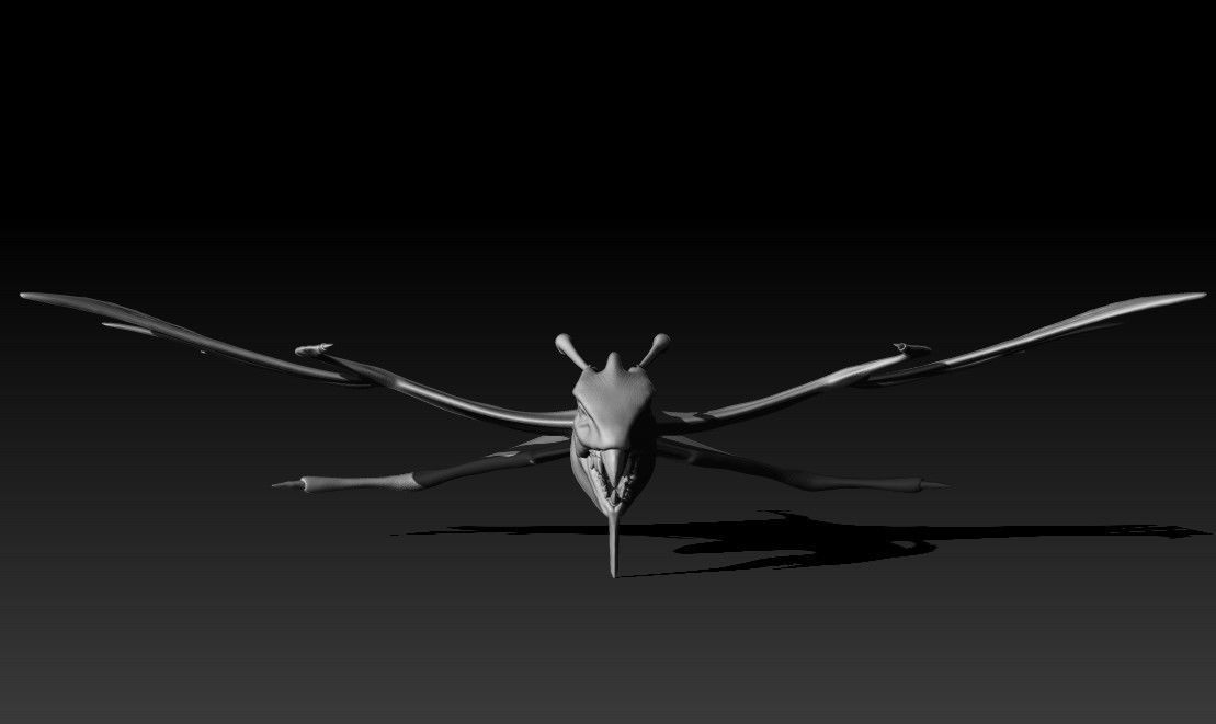 Ikran 3D print model_1