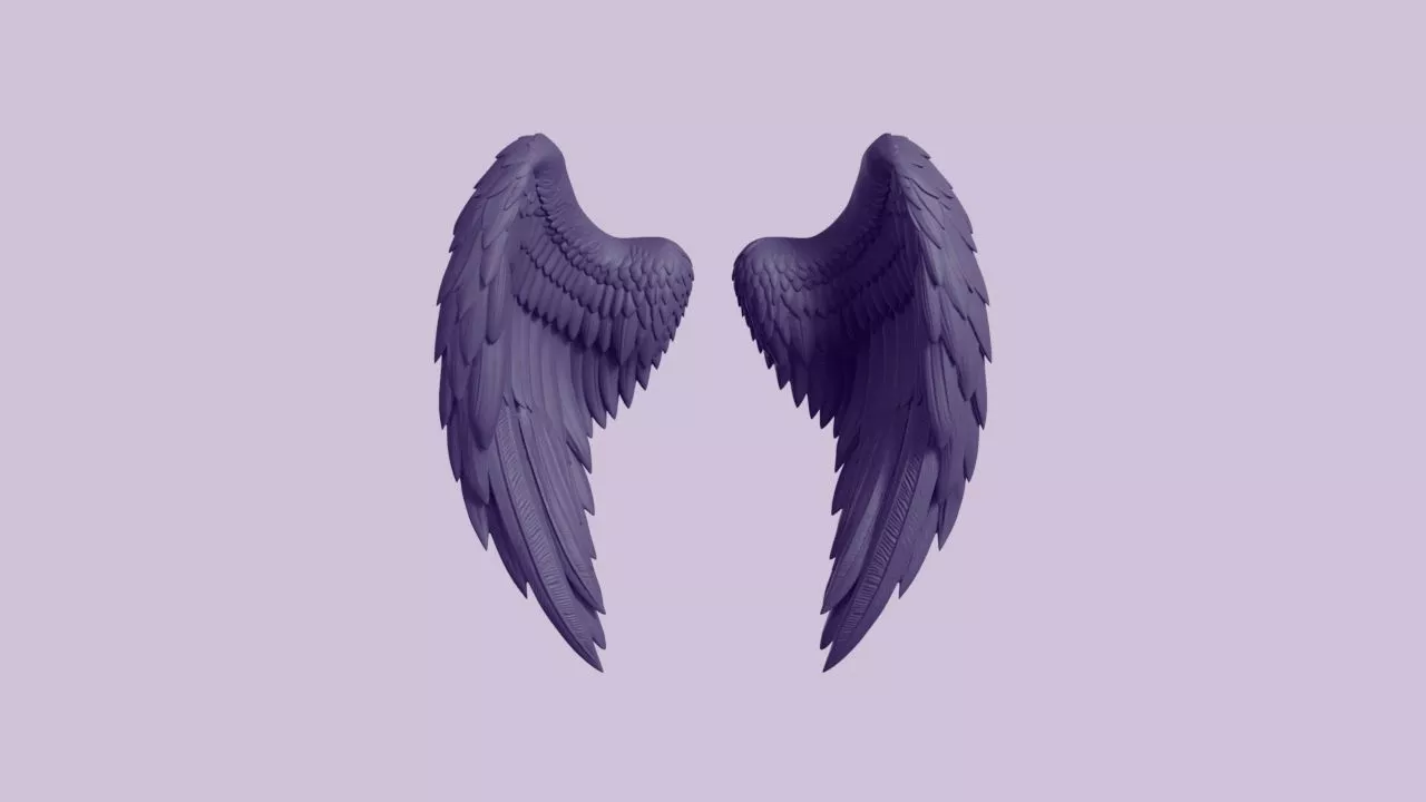 Feathered Angel Wings Cosplay Prop 3D print model