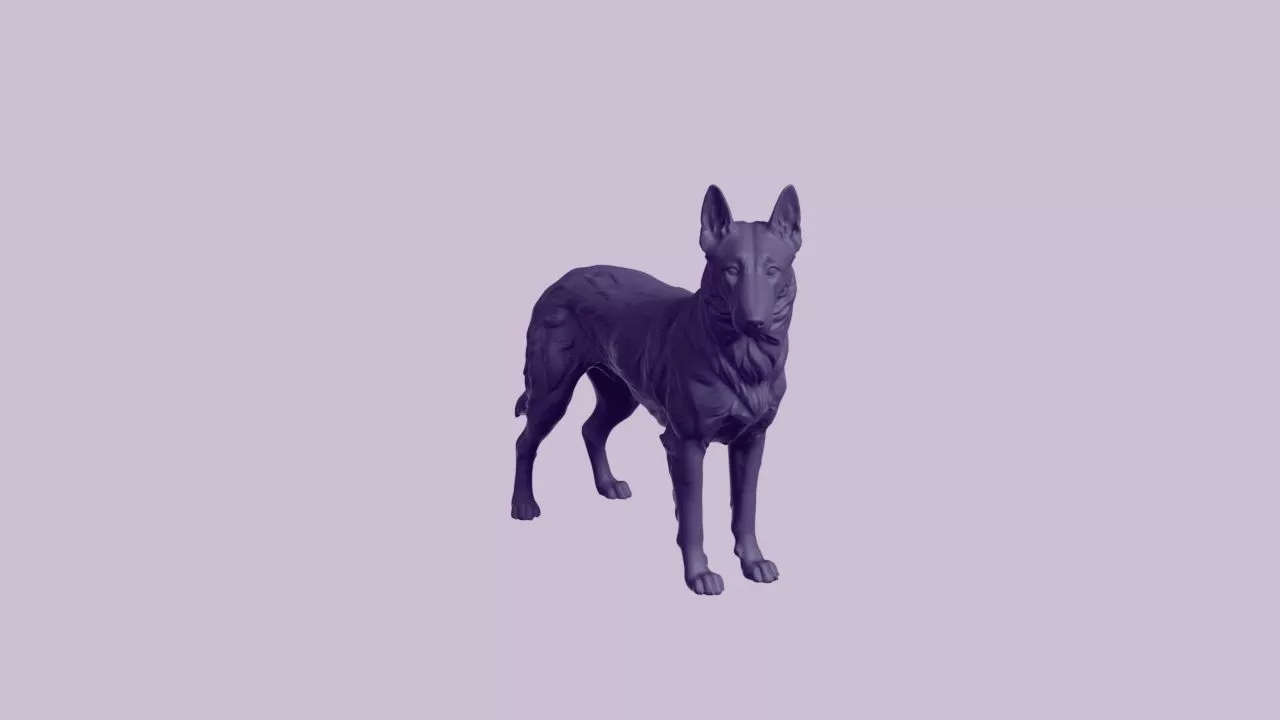 Belgian Malinois Shepherd Dog Standing 3D print model